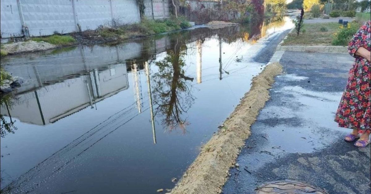 подсолнечное масло в Николаеве